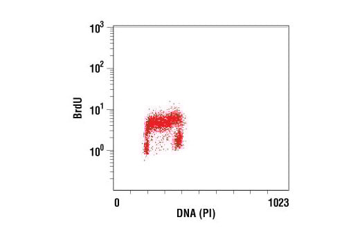 Flow Cytometry Image 2: BrdU (Bu20a) Mouse Monoclonal Antibody