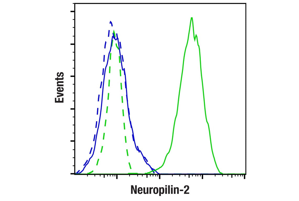 Flow Cytometry Image 1: Neuropilin-2 (E5Q2G) Rabbit Monoclonal Antibody (BSA and Azide Free)