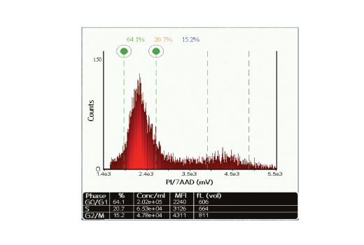 CSCA Image 2: CellSimple<sup>™</sup> Propidium Iodide (PI)/RNase Staining Solution Kit