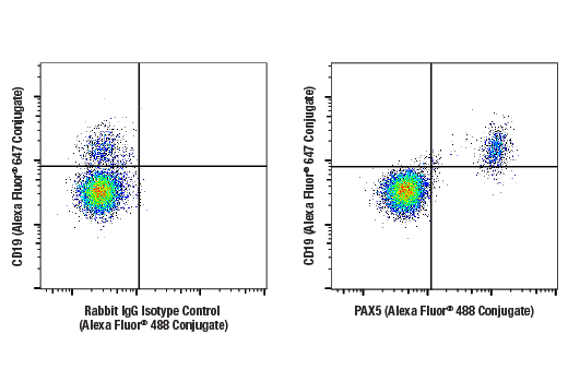 Flow Cytometry Image 1: PAX5 (D7H5X) Rabbit Monoclonal Antibody (Alexa Fluor<sup>®</sup> 488 Conjugate)
