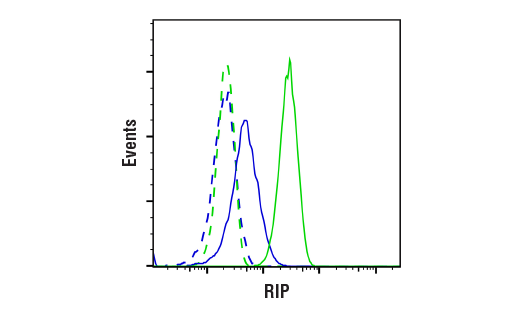 undefined Image 12: Necroptosis Antibody Sampler Kit