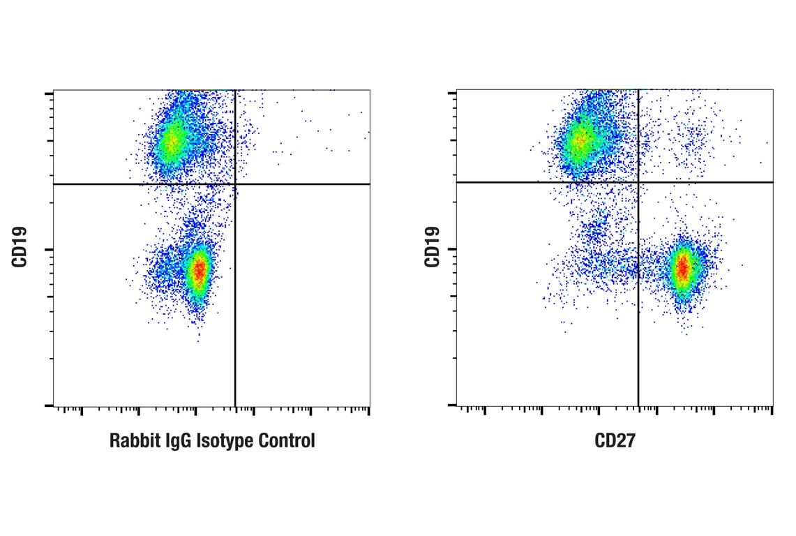 Flow Cytometry Image 2: CD27 (F3R2V) Rabbit Monoclonal Antibody