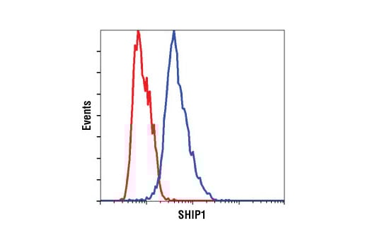 Flow Cytometry Image 1: SHIP1 (C40G9) Rabbit Monoclonal Antibody