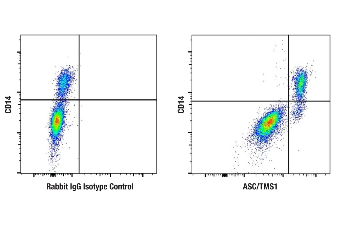 Flow Cytometry Image 1: ASC/TMS1 (F8U7P) Rabbit Monoclonal Antibody