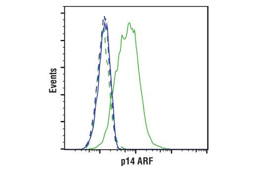 Flow Cytometry Image 1: p14 ARF (E3X6D) Rabbit Monoclonal Antibody (BSA and Azide Free)