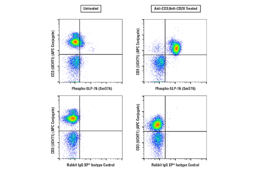 Flow Cytometry Image 1: Phospho-SLP-76 (Ser376) (E3G9U) Rabbit Monoclonal Antibody