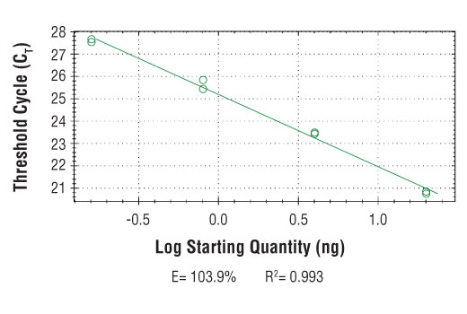 Chromatin Immunoprecipitation Image 1: SimpleChIP<sup>®</sup> Human ARRDC3 Downstream Primers