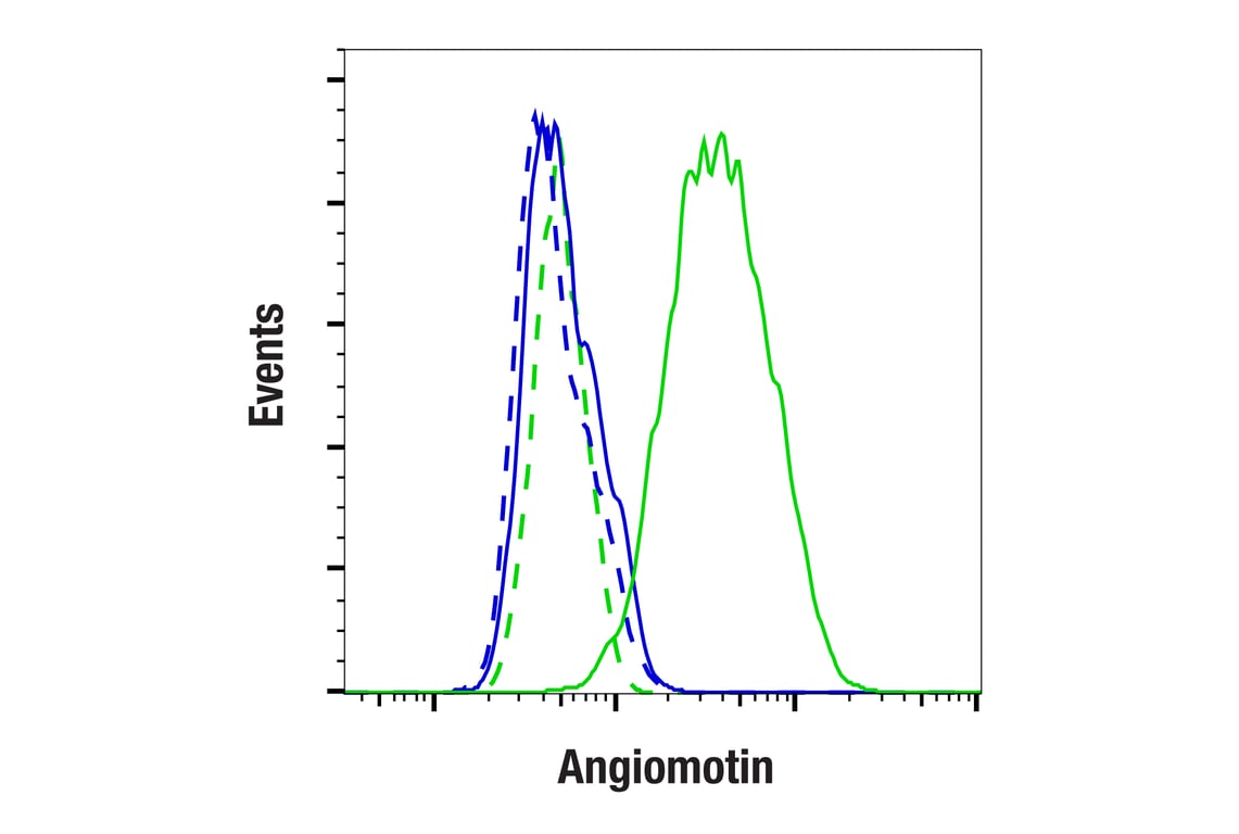 Flow Cytometry Image 1: Angiomotin (F7W8U) Rabbit Monoclonal Antibody