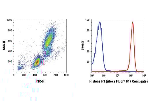 Flow Cytometry Image 1: Histone H3 (D1H2) Rabbit Monoclonal Antibody (Alexa Fluor<sup>®</sup> 647 Conjugate)