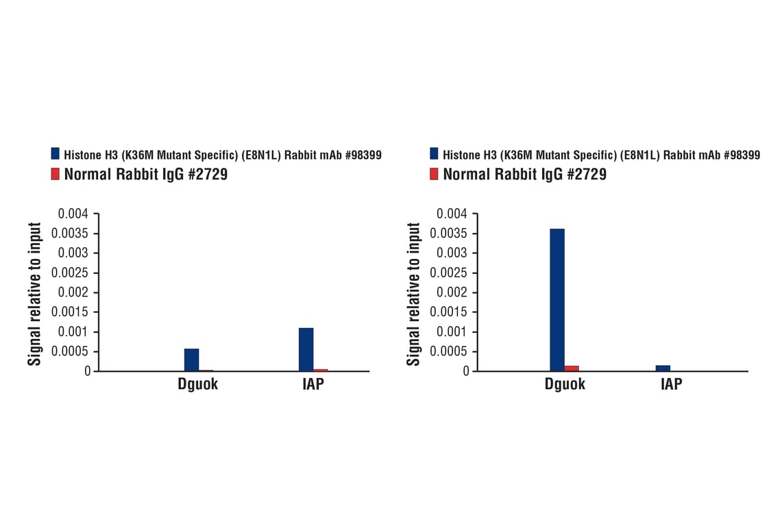 Chromatin Immunoprecipitation Image 1: Histone H3 (K36M Mutant Specific) (E8N1L) Rabbit Monoclonal Antibody