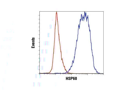 undefined Image 36: HSP/Chaperone Antibody Sampler Kit