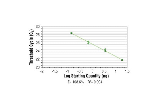 Chromatin Immunoprecipitation Image 2: SimpleChIP<sup>®</sup> Mouse RPL30 Intron 2 Primers