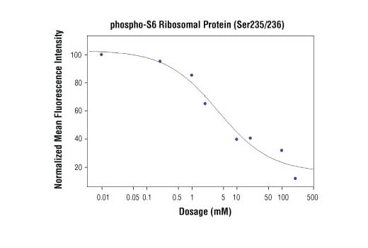 undefined Image 1: Anti-rabbit IgG (H+L), F(ab')<sub>2</sub> Fragment (Alexa Fluor<sup>®</sup> 647 Conjugate)