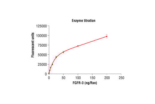 undefined Image 2: HTScan<sup>®</sup> FGF Receptor 3 Kinase Assay Kit