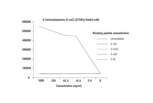 undefined Image 1: 5-Carboxylcytosine (5-caC) (D7S8U) Rabbit Monoclonal Antibody