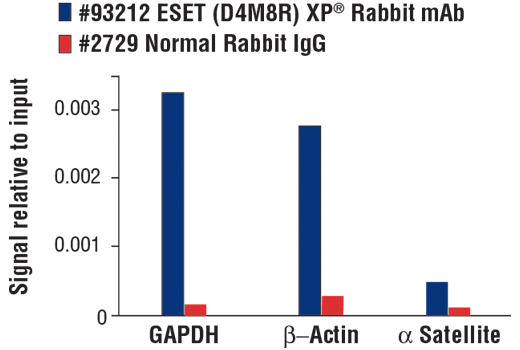 Chromatin Immunoprecipitation Image 3: ESET (D4M8R) XP<sup>®</sup> Rabbit mAb