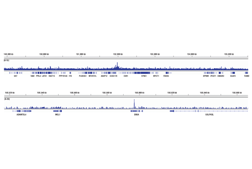 Chromatin Immunoprecipitation Image 2: Brg1 (D1Q7F) Rabbit mAb