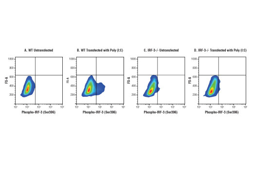 Flow Cytometry Image 1: Phospho-IRF-3 (Ser396) (D6O1M) Rabbit Monoclonal Antibody