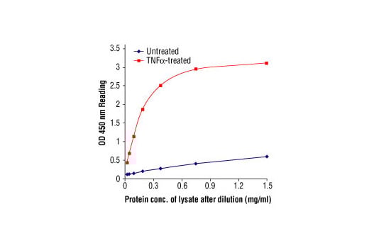 ELISA Image 2: PathScan<sup>®</sup> Phospho-IkappaB alpha (Ser32) Sandwich ELISA Kit