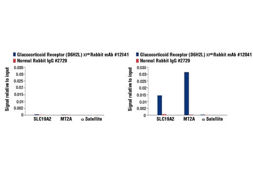 Chromatin Immunoprecipitation Image 3: Glucocorticoid Receptor (D6H2L) Rabbit Monoclonal Antibody