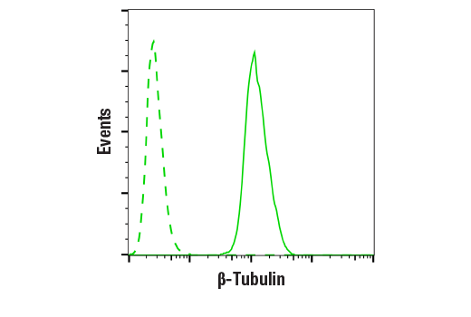 Flow Cytometry Image 1: beta-Tubulin (9F3) Rabbit Monoclonal Antibody