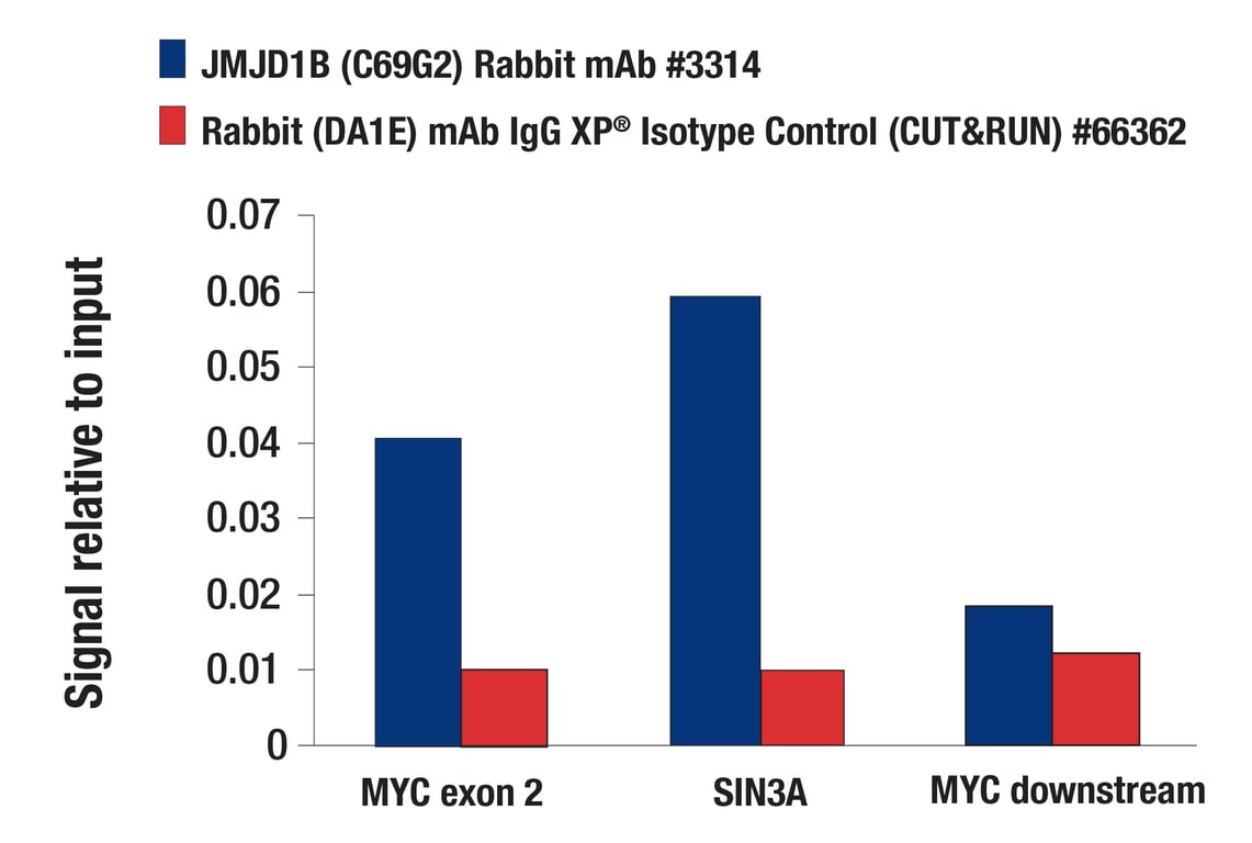 CUT & RUN Image 3: JMJD1B (C69G2) Rabbit Monoclonal Antibody