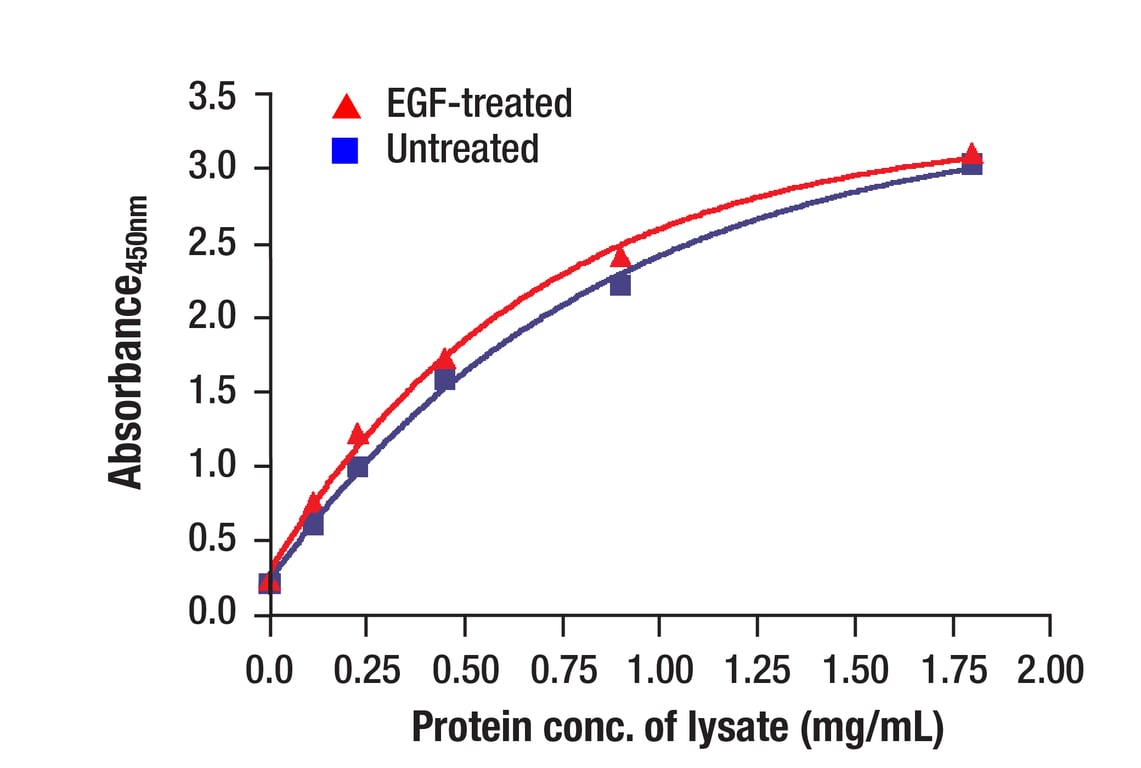 ELISA Image 2: PathScan<sup>®</sup> Total Stat3 Sandwich ELISA Kit