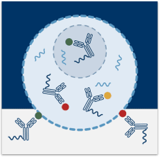 Best resource for Antibody Conjugates