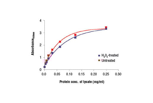 ELISA Image 2: PathScan<sup>®</sup> Total Acetyl-CoA Carboxylase Sandwich ELISA Kit