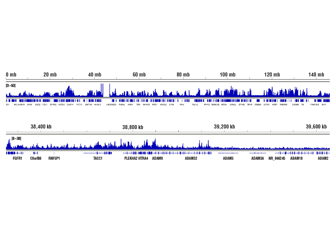 Chromatin Immunoprecipitation Image 2: Mono-Methyl-Histone H3 (Lys4) (D1A9) Rabbit Monoclonal Antibody