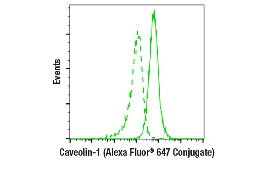 Flow Cytometry Image 1: Caveolin-1 (D46G3) Rabbit Monoclonal Antibody (Alexa Fluor<sup>®</sup> 647 Conjugate)