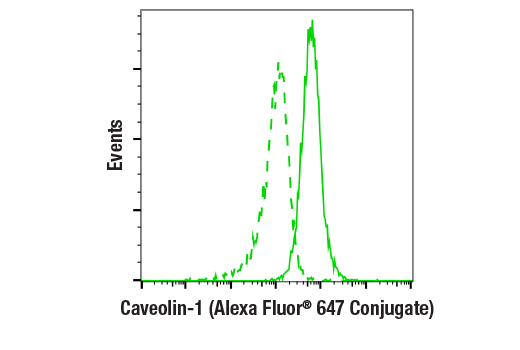 Flow Cytometry Image 1: Caveolin-1 (D46G3) XP<sup>®</sup> Rabbit mAb (Alexa Fluor<sup>®</sup> 647 Conjugate)