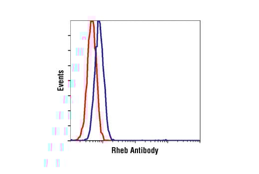 Flow Cytometry Image 1: Rheb Antibody