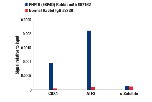 Chromatin Immunoprecipitation Image 1: PHF19 (E8P4D) Rabbit Monoclonal Antibody