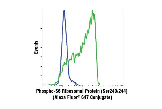Applications for Phospho-S6 Ribosomal Protein (Ser240/244
