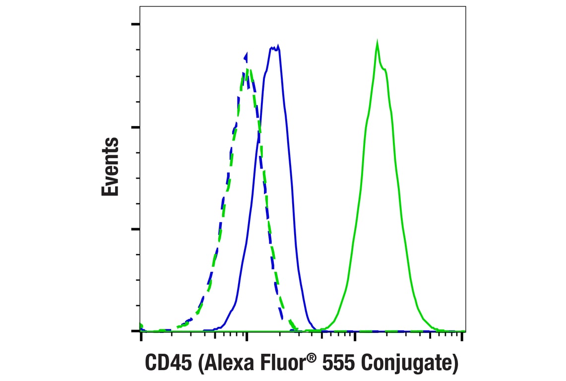 CD45 (Intracellular Domain) (D9M8I) XP® Rabbit mAb (Alexa