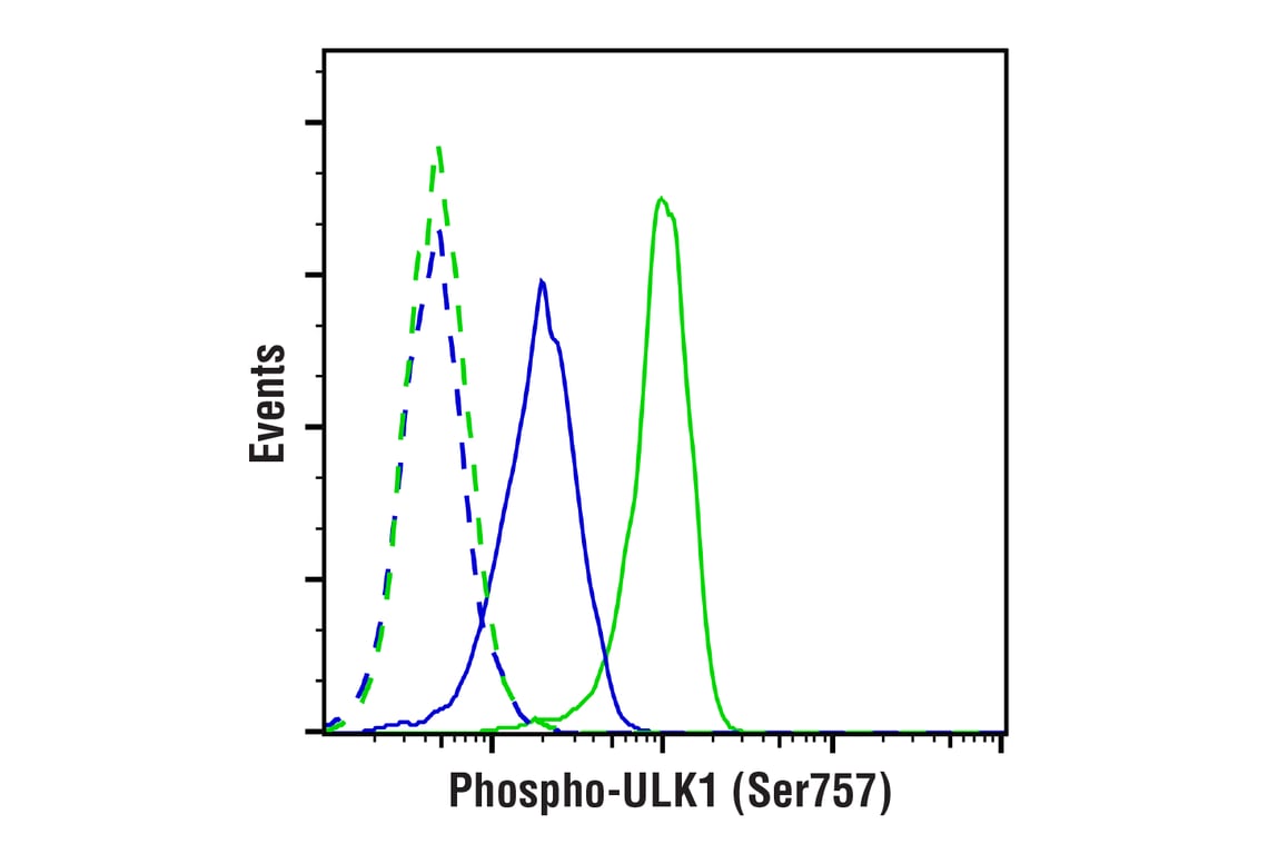 Flow Cytometry Image 1: Phospho-ULK1 (Ser757) (D7O6U) Rabbit Monoclonal Antibody