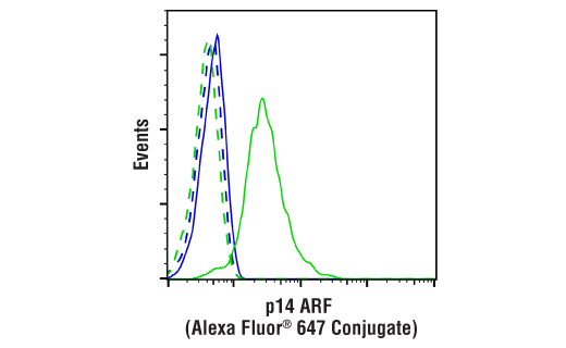Flow Cytometry Image 1: p14 ARF (E3X6D) Rabbit Monoclonal Antibody (Alexa Fluor<sup>®</sup> 647 Conjugate)
