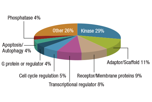 PTMScan Image 2: PTMScan<sup>®</sup> Multi-Pathway Enrichment Kit