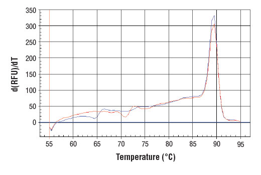 undefined Image 1: SimpleChIP<sup>®</sup> Human HSP70 Intron 1 Primers