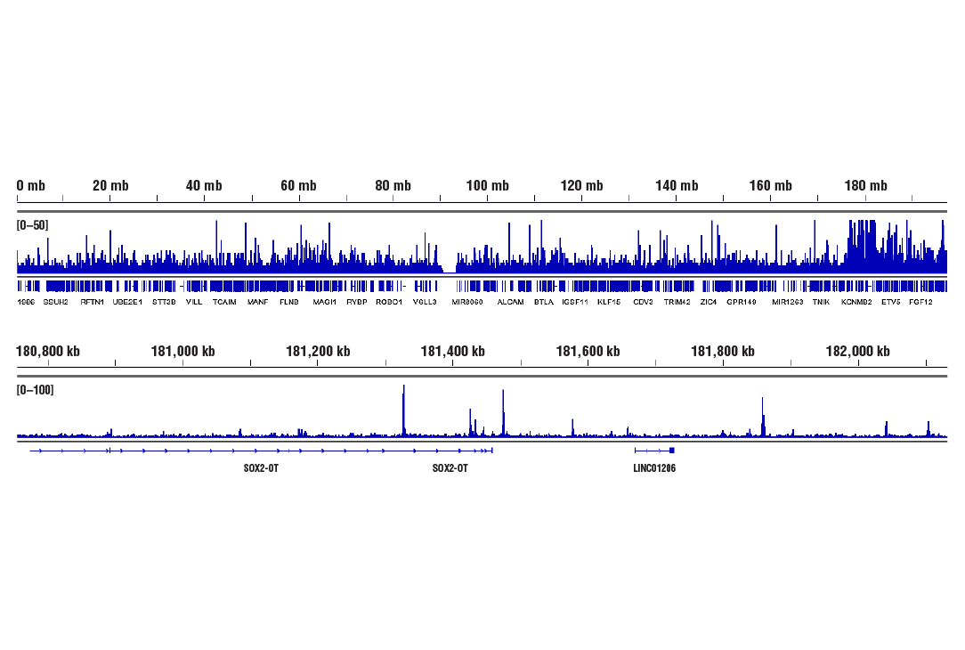 undefined Image 33: BAF Complex Antibody Sampler Kit