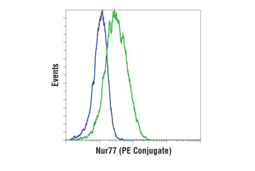 Flow Cytometry Image 1: Nur77 (D63C5) XP<sup>®</sup> Rabbit mAb (PE Conjugate)
