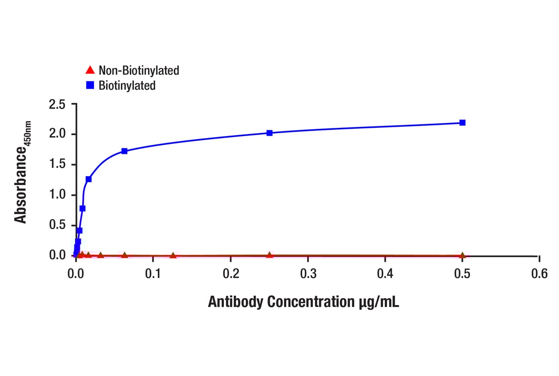 ELISA and/or ELISA-like Assays Image 1: GFAP (D1F4Q) Rabbit Monoclonal Antibody (Biotinylated)