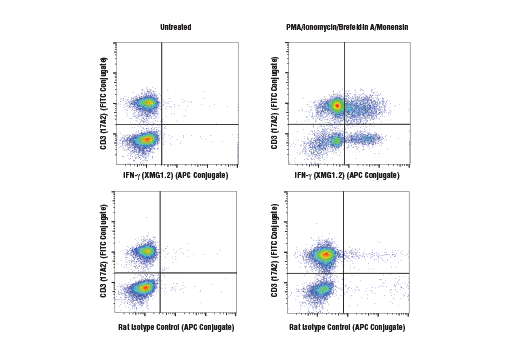 Flow Cytometry Image 1: IFN-γ (XMG1.2) Rat mAb (APC Conjugate)