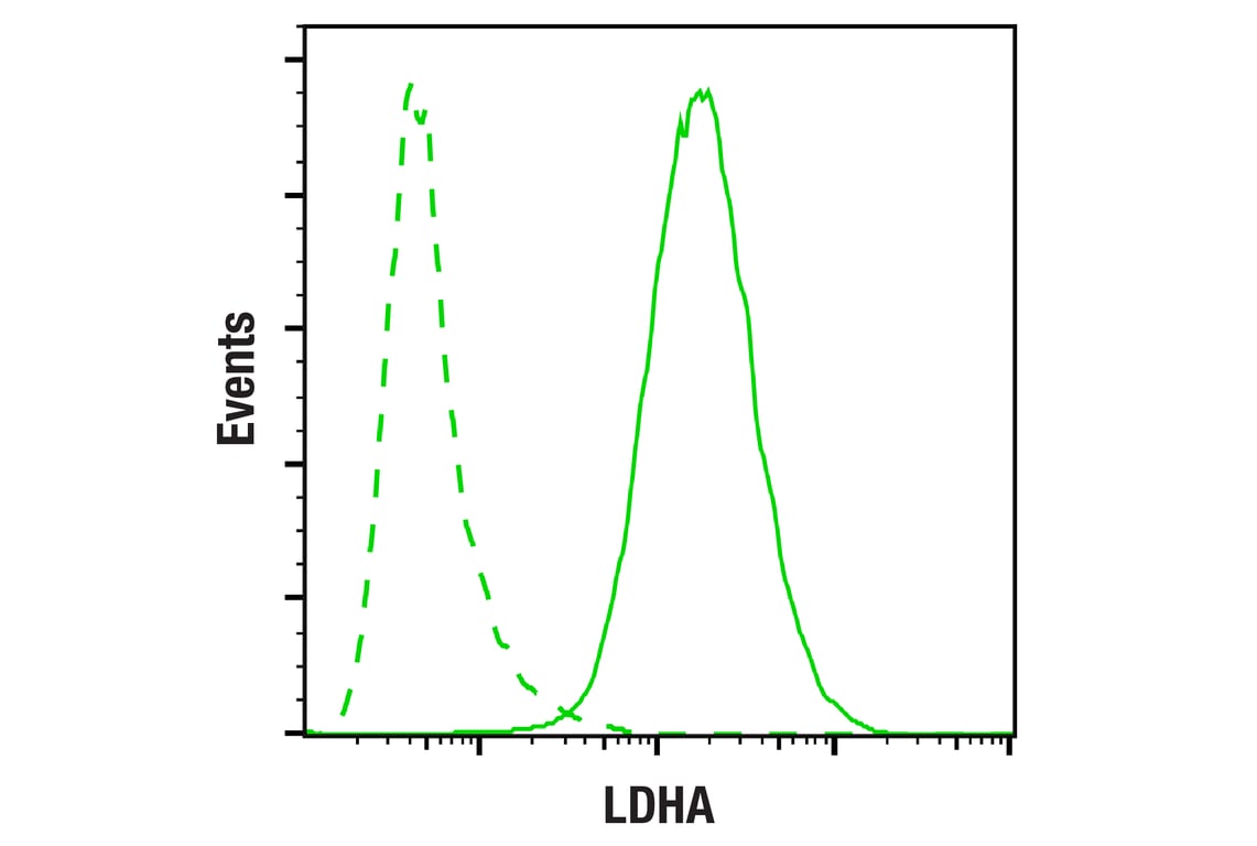 Flow Cytometry Image 1: LDHA (C4B5) Rabbit Monoclonal Antibody (BSA and Azide Free)