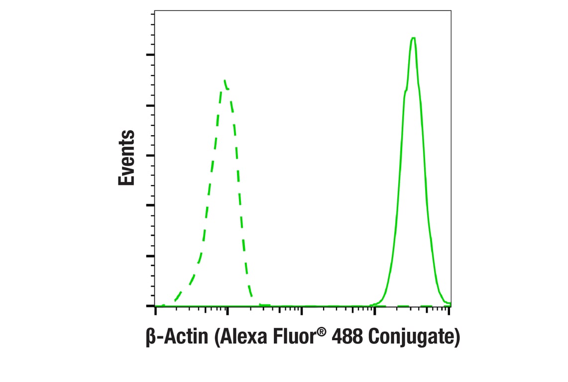 Flow Cytometry Image 2: beta-Actin (D6A8) Rabbit Monoclonal Antibody (Alexa Fluor<sup>®</sup> 488 Conjugate)