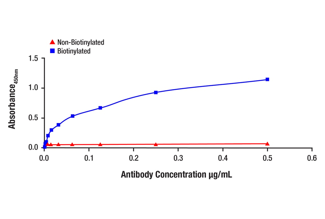 ELISA and/or ELISA-like Assays Image 1: Ubiquitin (E6K4Y) Rabbit Monoclonal Antibody (Biotinylated)