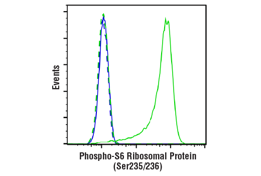 undefined Image 45: Translational Control Antibody Sampler Kit