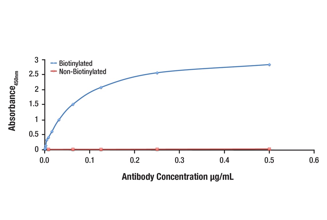 E Image 1: alpha-Tubulin (11H10) Rabbit Monoclonal Antibody (Biotinylated)