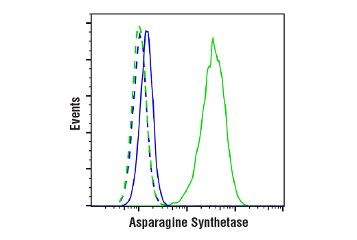 Flow Cytometry Image 1: Asparagine Synthetase (E6C2C) Rabbit Monoclonal Antibody (BSA and Azide Free)